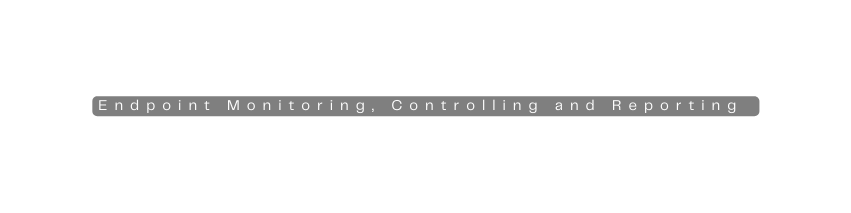 Endpoint Monitoring Controlling and Reporting