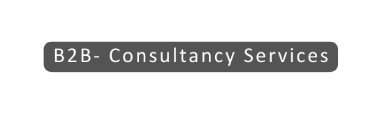 B2B Consultancy Services