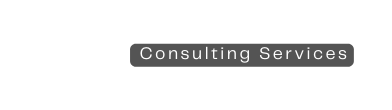 Consulting Services