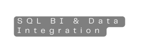 SQL BI Data Integration